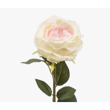 Fiore artificiale Rosa THYRI, crema-rosa, 65 cm Fiore artificiale Rosa THYRI, crema-rosa, 65 cm