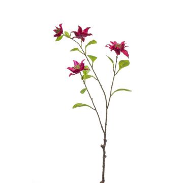 Ramo decorativo clematide RUHNA, rosa shocking, 75 cm Ramo decorativo clematide RUHNA, rosa shocking, 75 cm