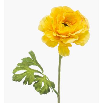 Fiore artificiale ranuncolo KRISTY, giallo, 60 cm, Ø 10 cm Fiore artificiale ranuncolo KRISTY, giallo, 60 cm, Ø 10 cm