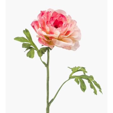 Fiore artificiale ranuncolo KRISTY, rosa-rosa, 60 cm, Ø 10 cm