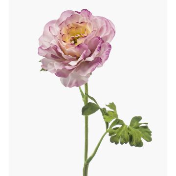 Fiore artificiale ranuncolo KRISTY, lilla-crema, 60 cm, Ø 10 cm Fiore artificiale ranuncolo KRISTY, lilla-crema, 60 cm, Ø 10 cm