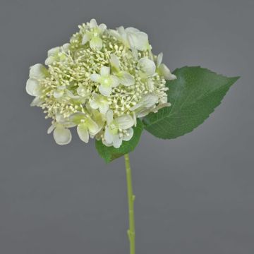 Fiore artificiale ortensia CALESA, bianco, 50 cm