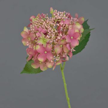 Fiore artificiale ortensia CALESA, rosa antico, 50 cm