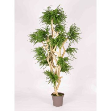 Albero artificiale Abelia DIMYTRO con tronchi naturali, crossdoor, verde, 185 cm - Made in Italy