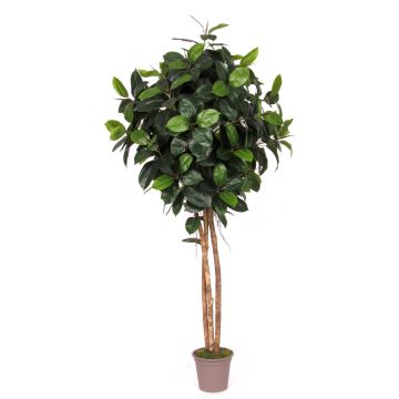 Albero di gomma artificiale LENELOTTE, tronchi naturali, verde, 225 cm - Made in Italy