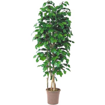 Quercia artificiale MIREEN, tronchi naturali, con frutti, verde, crossdoor, 125 cm - Made in Italy