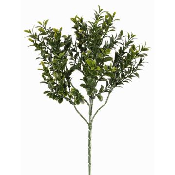 Ramo artificiale di bosso TOM, crossdoor, 45cm