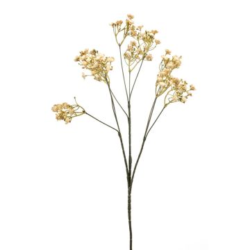 Gipsofila artificiale LITAGO, effetto secco, beige, 70cm, Ø1,5cm