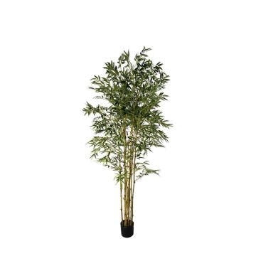 Albero artificiale bambù giapponese BAKNOR, tronchi naturali, 180 cm