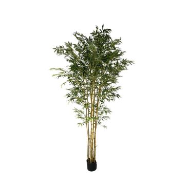 Albero artificiale di bambù giapponese BAKNOR, tronchi naturali, 210 cm