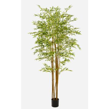 Albero artificiale di bambù giapponese BAKNOR, tronchi naturali, 210 cm