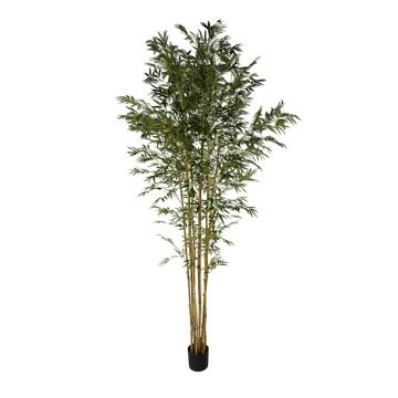 Albero artificiale di bambù giapponese BAKNOR, tronchi naturali, 240 cm
