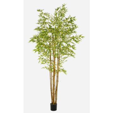 Albero artificiale di bambù giapponese BAKNOR, tronchi naturali, 240 cm