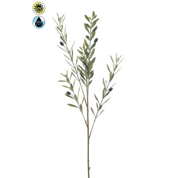 Ramo di ulivo artificiale BAKSON con frutti, crossdoor, 90 cm