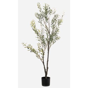 Olivo artificiale LONIRB con frutti, tronco artificiale, crossdoor, 140cm Olivo artificiale LONIRB con frutti, tronco artificiale, crossdoor, 140cm