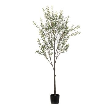 Olivo artificiale LONIRB con frutti, tronco artificiale, crossdoor, 175 cm