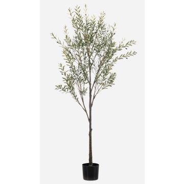Olivo artificiale LONIRB con frutti, tronco artificiale, crossdoor, 175 cm
