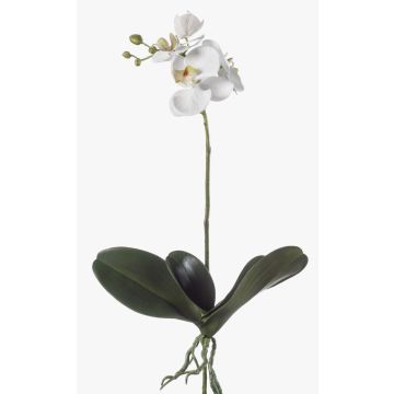Orchidea phalaenopsis artificiale FAO su stelo, bianco, 45cm