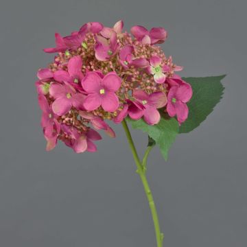 Fiore artificiale ortensia CALESA, rosa, 50 cm