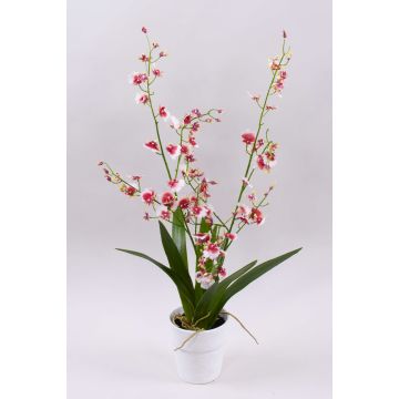 Orchidea Oncidium artificiale YOSEPHIN in vaso di argilla, bianco-rosso, 70cm Orchidea Oncidium artificiale YOSEPHIN in vaso di argilla, bianco-rosso, 70cm