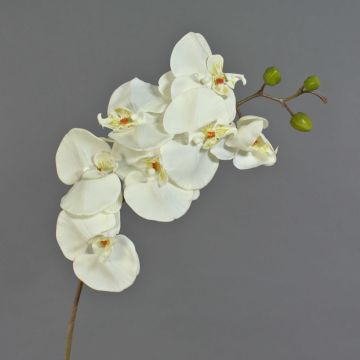 Ramo decorativo di orchidea phalaenopsis RICKY, bianco, 105cm