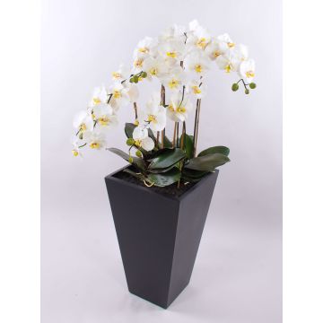 Orchidea Phalaenopsis artificiale WILHELMINA, vaso di legno, bianco, 150cm Orchidea Phalaenopsis artificiale WILHELMINA, vaso di legno, bianco, 150cm