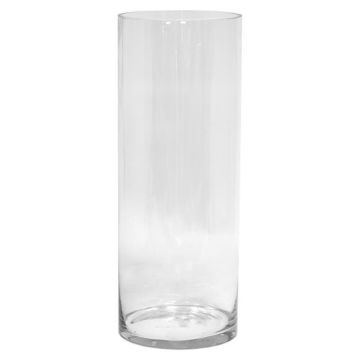Vaso da fiori cilindrico SANSA OCEAN, trasparente, 60 cm, Ø 20 cm