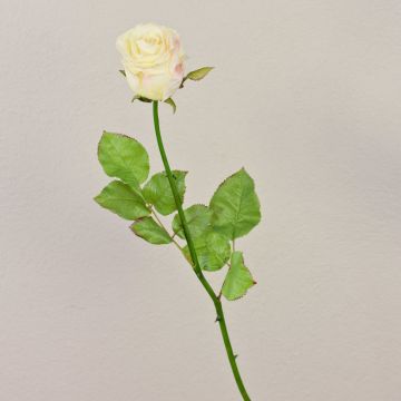 Rosa artificiale OPHELIE, crema-rosa, 85cm, Ø7cm