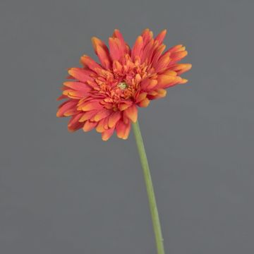 Gerbera artificiale AITANA, arancione, 55cm