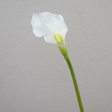 Calla sintetica PEPITA, bianco, 55cm, 7x11cm
