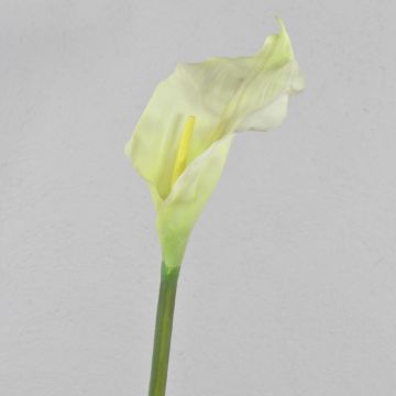 Calla sintetica CRISTINA, bianco-verde, 105cm, 14x27cm