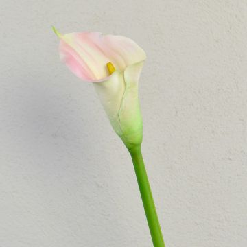 Calla artificiale TALEA, bianco-rosa, 65cm, 9x11cm