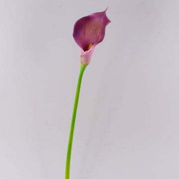 Calla sintetica TERESA, viola, 70cm, 10x18cm Calla sintetica TERESA, viola, 70cm, 10x18cm