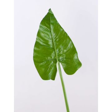 Foglia finta di calla FRANSCHESKA, verde, 70cm Foglia finta di calla FRANSCHESKA, verde, 70cm