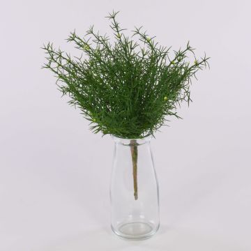 Asparagus sprengeri finto FREDERICK, stelo, 25cm Asparagus sprengeri finto FREDERICK, stelo, 25cm