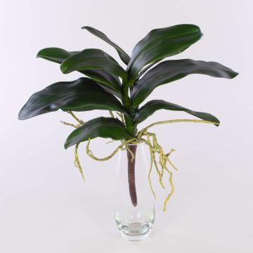 Foglie artificiali di orchidea phalaenopsis ARLETTE, radici aeree, 45cm