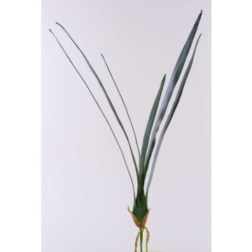Foglie artificiali di orchidea cymbidium AURICA, radici aeree, 70cm