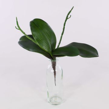 Foglie artificiali di orchidea Phalaenopsis DORTE, radici aeree, 22x28cm