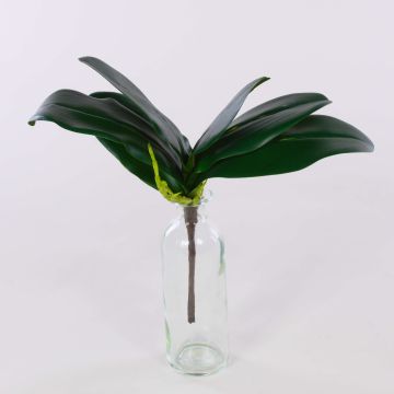 Foglie artificiali di orchidea phalaenopsis DAPHI, radici aeree, 29x33cm