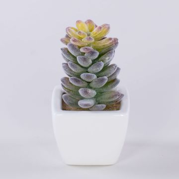 Pachyphytum oviferum artificiale ROBBIE, vaso di ceramica, verde, 13cm