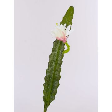 Cactus artificiale regina della notte DOMENICA, fiore, bianco, 50cm