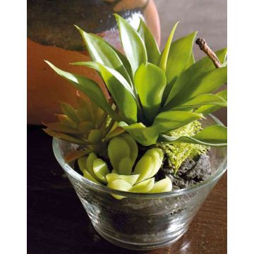 Composizione di succulente artificialI TIMOTHY in vetro, verde, 18cm