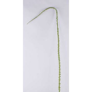 Ramo di spine di rose artificiali ALOISA, verde-marrone, 180cm Ramo di spine di rose artificiali ALOISA, verde-marrone, 180cm