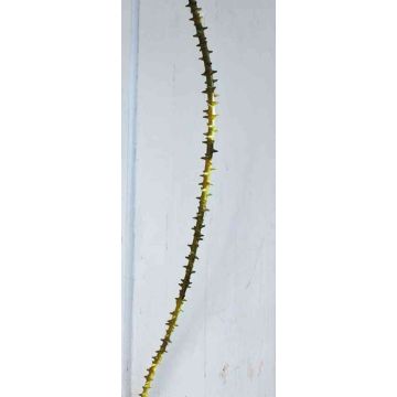 Ramo di spine di rose artificiali ALOISA, verde-marrone, 170cm