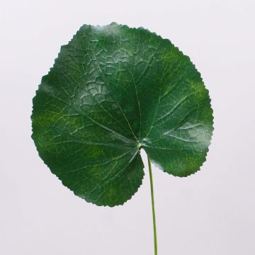 Foglia di geranio artificiale HEIDEGARD, verde, 38cm, Ø14cm Foglia di geranio artificiale HEIDEGARD, verde, 38cm, Ø14cm
