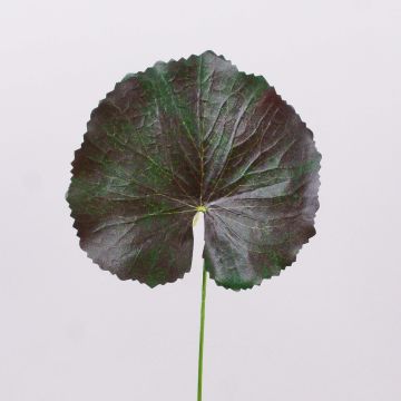 Foglia di geranio artificiale HEIDEGARD, verde-rosso, 38cm, Ø13cm Foglia di geranio artificiale HEIDEGARD, verde-rosso, 38cm, Ø13cm
