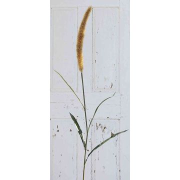 Pennisetum finto LEBRERO con pannocchie, giallo, 175cm