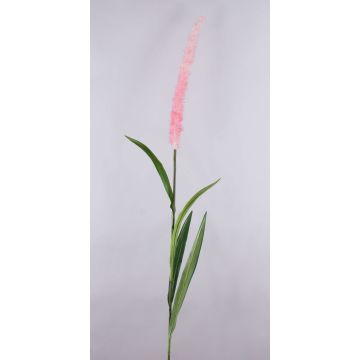 Pennisetum finto LEBRERO con pannocchie, rosa, 175cm