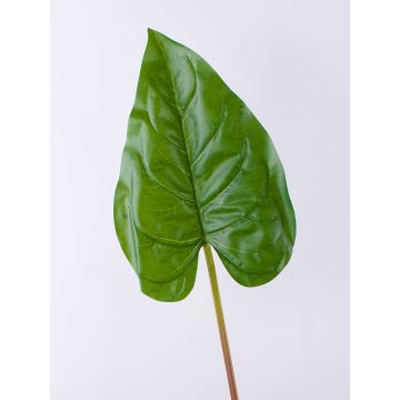 Foglia artificiale di anturio NORMAN, verde, 110cm