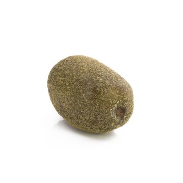 Kiwi sintetico MIRAITA, verde, 6cm, Ø4,5cm Kiwi sintetico MIRAITA, verde, 6cm, Ø4,5cm